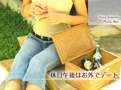 アタ製ピクニックボックス(z0218)