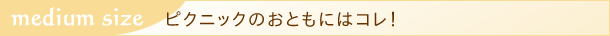 コスメボックスのラインナップ