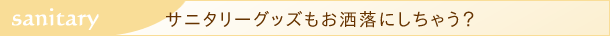 サニタリーグッズをお洒落に収納
