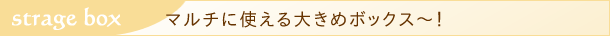 マルチに使える大きめボックス