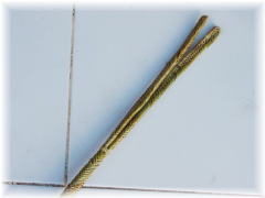Grade2のアタ製品