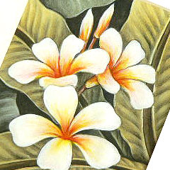 バリ島絵画『プルメリアなどの花々』の価格と購入