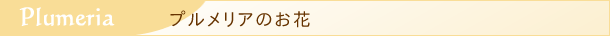 プルメリアの造花のラインナップ