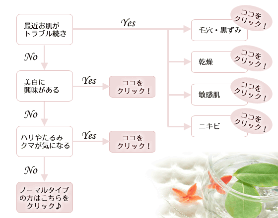 肌トラブル・チャート