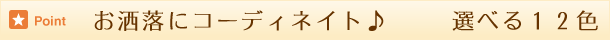 選べる１２色
