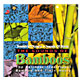 The Sounds of BamboosのバリCD画像