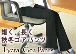 美脚効果抜群のゴアパンツ