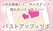 バストアップのツボについて