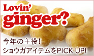 カラダの中から温める『ジンジャーティー』