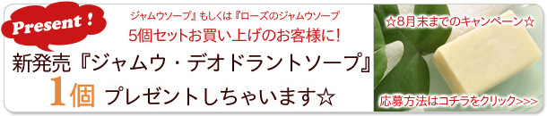 ジャムウ石鹸５個お買い上げのお客様に『加齢臭用石鹸』を１個プレゼント！