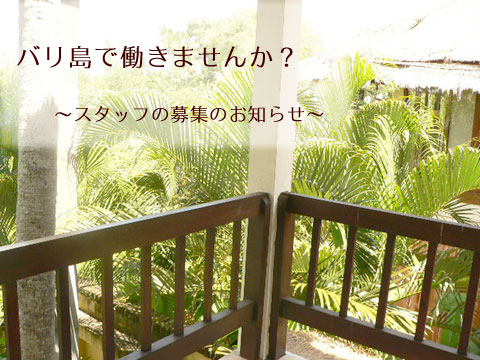 バリ島で働きませんか?