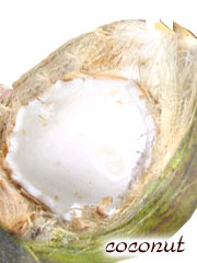 ココナッツの画像