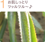 お肌しっとりツッルツル~♪