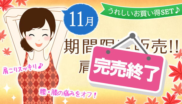 11月の期間&数量限定の画像