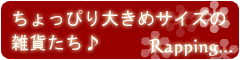 ラッピングの写真3