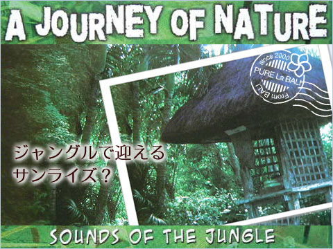 ガムランのヒーリング系CD『A JOURNEY OF NATURE』　バリ島のネイチャーサウンドCDを販売！