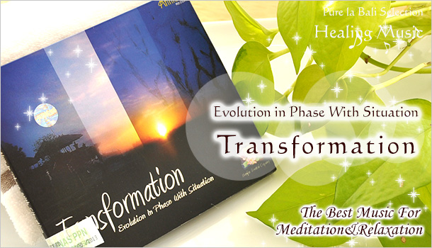 地球と大地癒しのハーモニー！　『Transformation / Evolution in Phase With Situation（cd0033）』