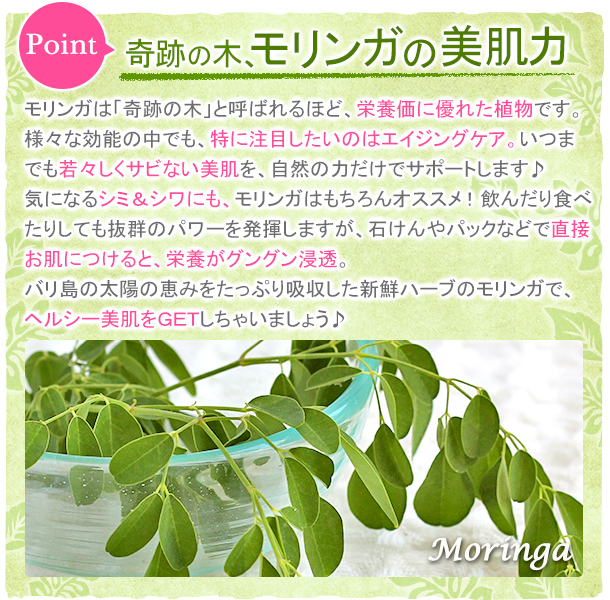オーガニックのモリンガ茶の効能