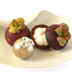 ガムランボール se0069の写真1