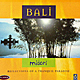 BALI midoriのバリCD画像