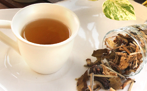 体リセット！ジャムウデトックスティーの通販