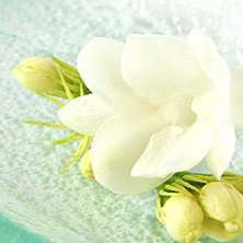 ジャスミンのお香！バリ島のおすすめ天然インセンス