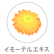 イモーテルの画像