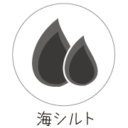 海シルト（海泥）の画像