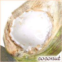 ココナッツの画像
