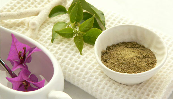 ニームの成分特徴の画像