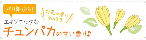 チュンパカの画像