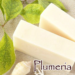 バリ島の手作り石鹸・プルメリアの香り p0047の写真