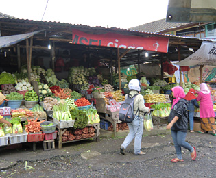 チャンディクニン市場の画像