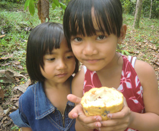 カカオの果実を持つ女の子の画像